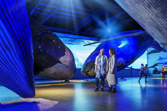 Whales of Iceland from Land and Sea - What the Biologist Tells You While You Scan the Sea