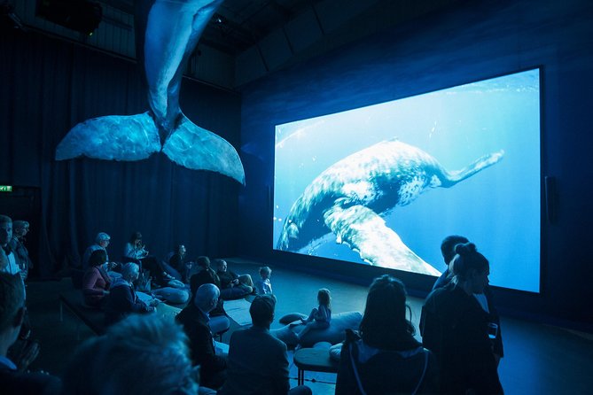 Whales of Iceland from Land and Sea - When to Visit the Exhibition: Before, After, or Both