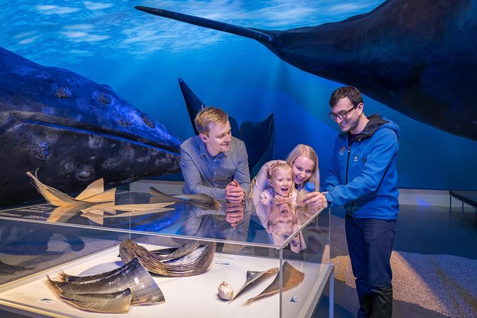 Whales of Iceland from Land and Sea - Step-By-Step: What Happens Before You Leave the Dock