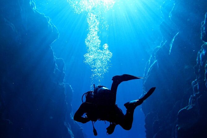 Where and How You Want Private Tour with Wilmar English or Spanish - Price and value: what $900 per group means in real life