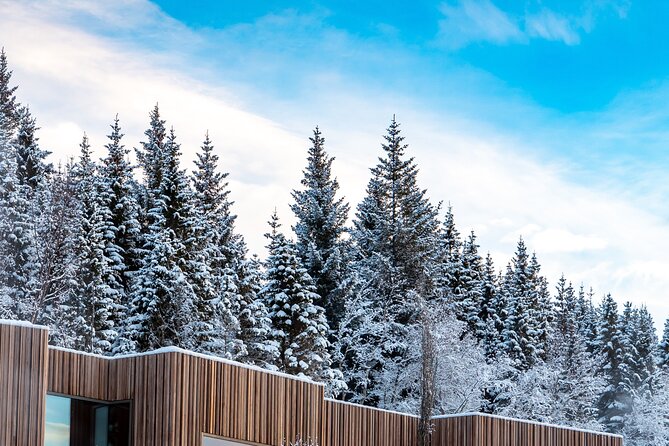 Winter Combo Godafoss Christmas House and The Forest Lagoon - Price and Value for a 4 Hour 20 Minute Winter Combo
